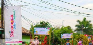 Foto: carnaval de Las Flores, Nicaragua en permanente florecer / TN8