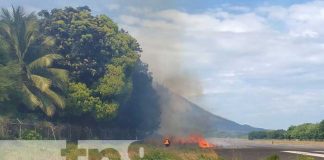 Incendio forestal es sofocado por bomberos en Ometepe