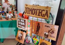 Realizan Feria Nacional de Reciclaje y Biodiversidad en Managua