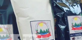 Expo Feria departamental del café muestra alta calidad y comercio en Ocotal