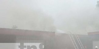 Incendio devoró más de 3 mil cajas para exportar puros en Estelí