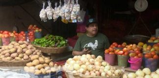 Foto: Monitoreo de precios en mercados de Nicaragua / TN8