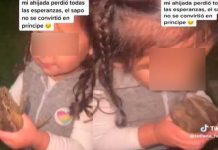 Niña besa a sapo y se decepciona porque no se convirtió en “príncipe”