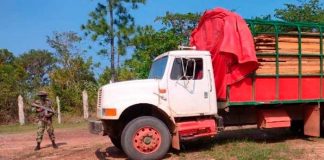 Destacamento Militar Norte ocupa madera que era trasladado ilegalmente en Bilwi