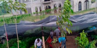 Siuna cuanta con un nuevo vivero en la casa de Cultural Mamá Cheya