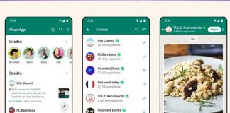 Foto: Descubre los nuevos Canales de WhatsApp: noticias personalizadas en un solo lugar / Cortesía