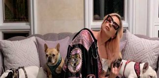 Lady Gaga no pagará recompensa de sus perros a mujer "sinvergüenza"