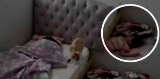 ¡Qué miedo! Supuesta entidad maligna arrastra a una niña debajo de la cama