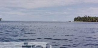 Foto: Pesadilla en el Mar Caribe: Cuatro pescadores sobreviven tras naufragio milagroso / TN8