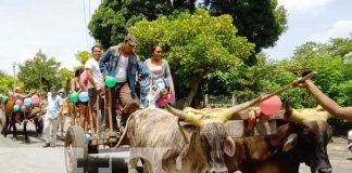 Realizan la tradicional bajada de las varas en Moyogalpa, Isla de Ometepe