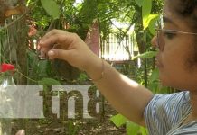 Foto: Diversas especies de aves contarán con nuevos corredores en el Arboretum Nacional / TN8