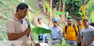 INTA inauguró Granja de mejoramiento porcino en San Rafael del Norte, Jinotega