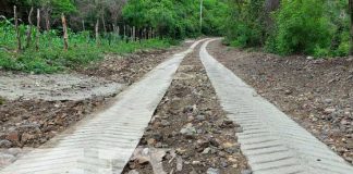 Productores de zona fronteriza en Somoto, con mejores caminos rurales