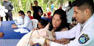 Foto: ¡Feria animal en Granada: Un regalo especial en el Día del Padre! / Cortesía