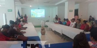 Foto: Cultivos biológicos en Nicaragua, congreso del INTA / TN8