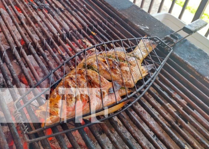 ¿Cómo son los pescados asados? En Managua se vende este platillo delicioso