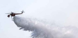 Foto: Ola de calor desata tres incendios forestales en California / Cortesía