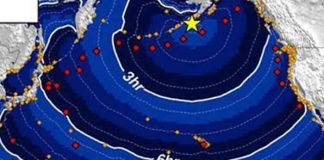 Foto: Terremoto de 7,2 en Alaska genera alerta de tsunami sin consecuencias graves / Cortesía