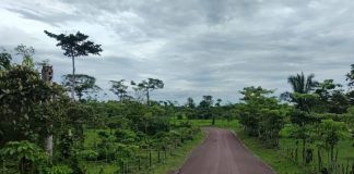 Carretera en Villa Nueva lleva felicidad a familias de Siuna