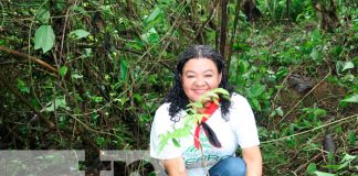 Foto: Más de un millón de árboles serán plantados en Triángulo Minero / TN8