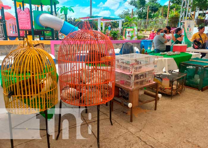 Inauguran "Festival Nacional Nicaragua Exótica" con más de 200 emprendedores