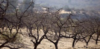 Foto: Emergencia climática en América Latina y el Caribe: Extremos sin precedentes / Cortesía