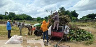 :!Se acabó la cochinada! Alcaldía eliminará botaderos de basura en la pista El Dorado