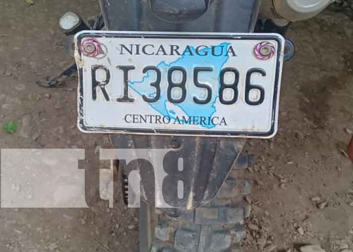 Motociclista ebrio se "palma" al estrellarse con un árbol en Tola