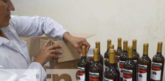 Foto: Producción de vinos orgánicos desde Nandaime / TN8