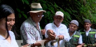 Reserva Palestina en Ticuantepe, el nuevo hogar de 159 especies rehabilitadas