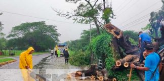 Tras varias horas lluvia colapsa árbol en una humilde vivienda en Acoyapa, Chontales