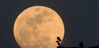 Foto: Superluna de Esturión: ¿Hora de visualización? / Cortesía