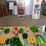 Producción sostenible en Matagalpa