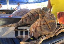 Foto:Familias degustaron de riquísimos platillos en la Feria del Mar / TN8