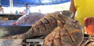 Foto:Familias degustaron de riquísimos platillos en la Feria del Mar / TN8