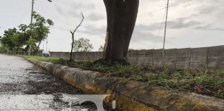 Foto: “La última práctica de su vida” Corredor de motociclista se rinde ante la muerte en Sabana Grande / TN8