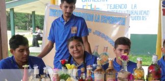 Foto: Estudiantes de programas de Gobierno se destacan en feria “Mi municipio Emprende” / TN8