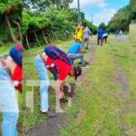 ¡Ometepe más verde! Siembran más de 100 árboles en el Oasis de Paz