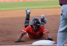 san fernando, beisbol, carazo, pomares