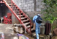 Foto: Abatización en barrios de Managua / TN8