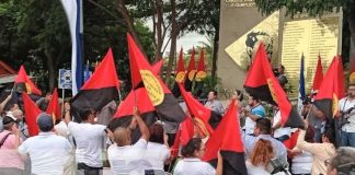 Foto: Celebración próxima por la Cruzada Nacional de Alfabetización / TN8