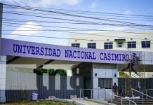 Foto: Nuevo esplendor: Museo de la CNA retornará en la Universidad Casimiro Sotelo / TN8