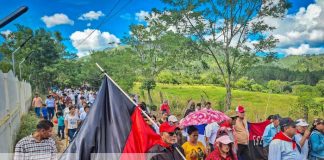 Foto: “Patria Bendita y Libre” Nicaragua se enorgullece con alegre caminata / TN8