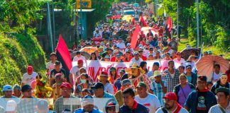 Foto: Nicaragua se llena de orgullo en caminata en Homenaje a Rigoberto López Pérez / TN8