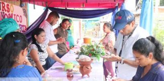 Foto: “Exquisito chancho con yuca” gana concurso de sabores en Siuna/TN8