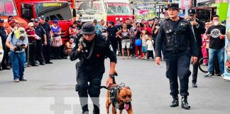 Foto: Técnicas Bomberiles en celebración del 44 Aniversario del MIGOB en Matagalpa y Granada / TN8