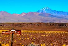 Foto: Científicos encuentran ratones momificados en volcanes de andinos de 6.000 Metros de altura /Cortesía