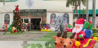 Foto: Vive la magia de la navidad /cortesía