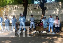 Foto: Trabajo antiepidémico en barrios de Managua / TN8