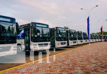 Foto: Vicepresidenta de Nicaragua "200 buses chinos están ya en nuestra Nicaragua bendita"/ TN8